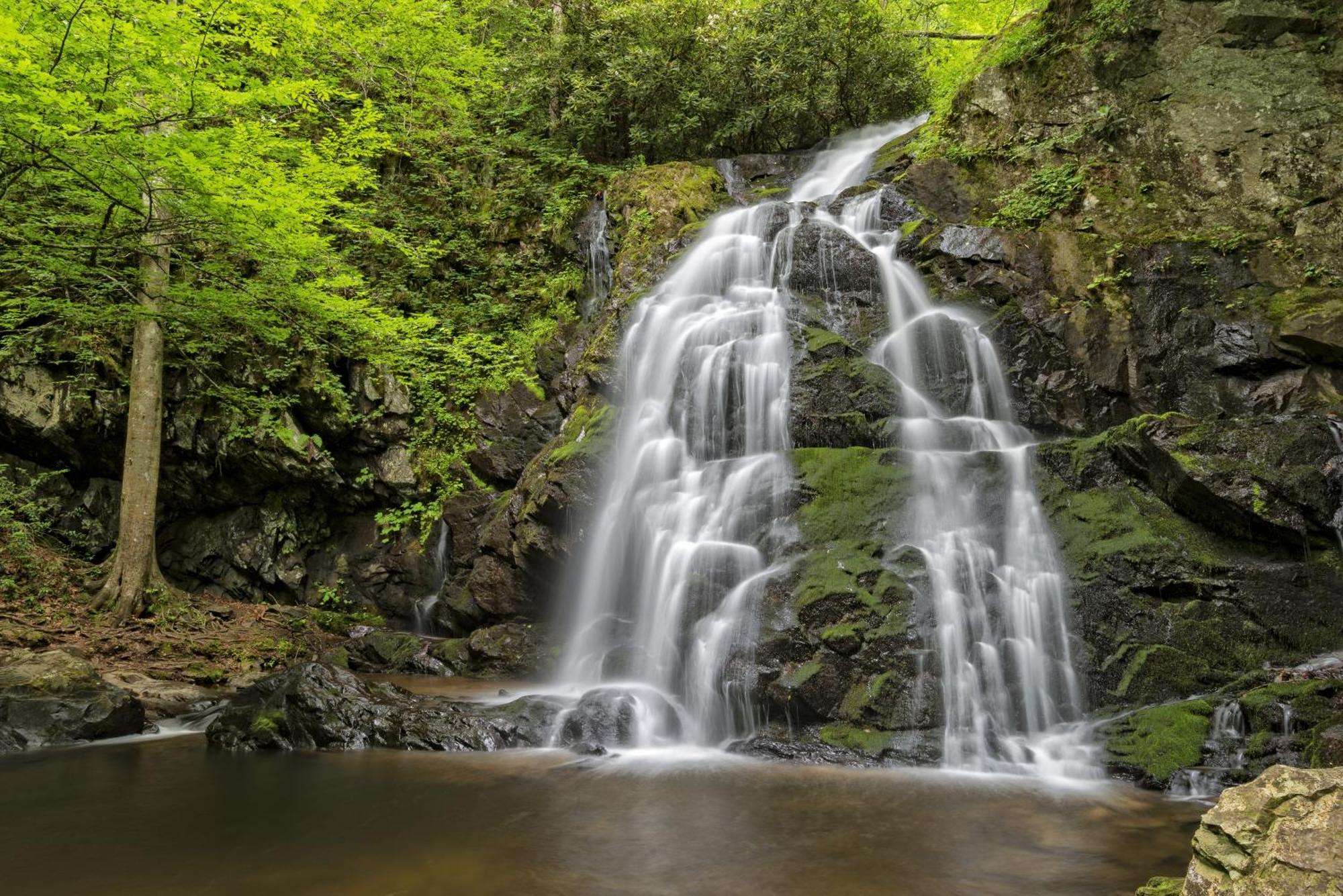 Вілла Pigeon Forge Getaway Екстер'єр фото